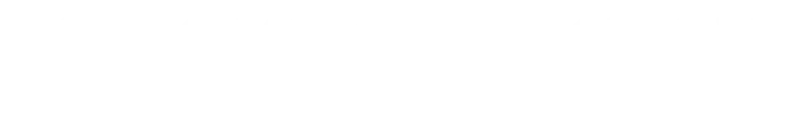 Demokratie Navi Logo